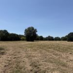 Property photo for land for sale in Red River County Texas