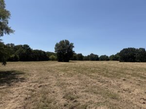 Property photo for land for sale in Red River County Texas