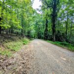 Property photo for land for sale in Floyd County Virginia