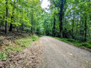 Property photo for land for sale in Floyd County Virginia
