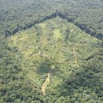 Property photo for land for sale in Union County Mississippi