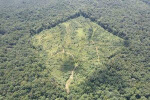 Property photo for land for sale in Union County Mississippi
