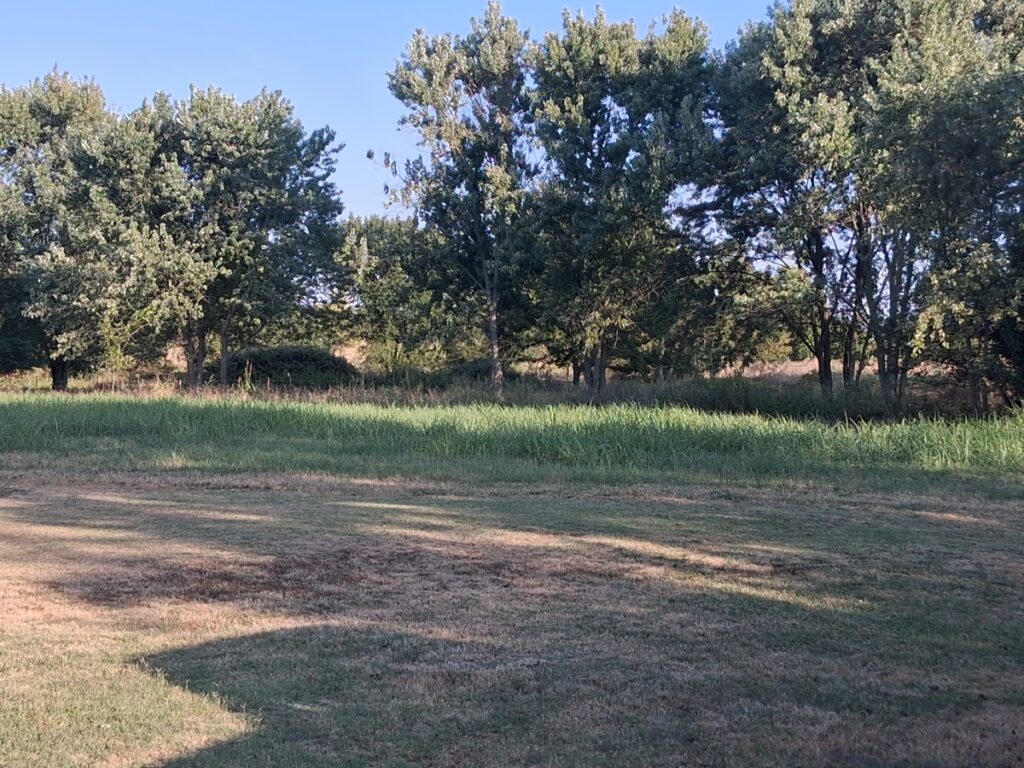 f5fd60a8-88b0-448f-b99a-2aae8c951ad6.jpg