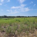 Property photo for land for sale in Red River County Texas