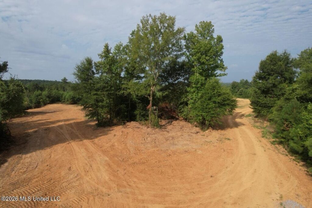Property photo for land for sale in Franklin County Mississippi