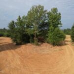 Property photo for land for sale in Franklin County Mississippi