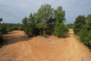 Property photo for land for sale in Franklin County Mississippi