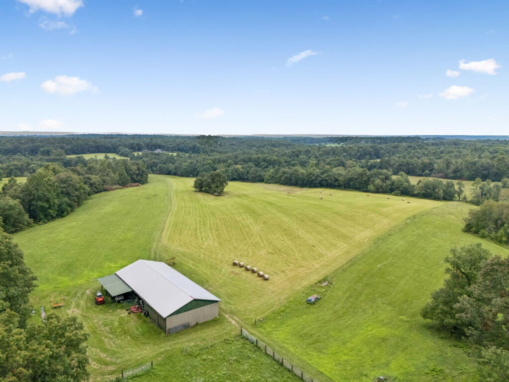 f7a8ed9d-3479-4271-b068-dfce26342480.jpg