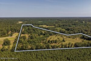 Property photo for land for sale in Copiah County Mississippi