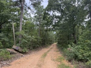 Property photo for land for sale in Stone County Arkansas