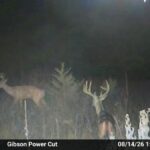 Property photo for land for sale in St. Clair County Missouri
