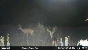 Property photo for land for sale in St. Clair County Missouri