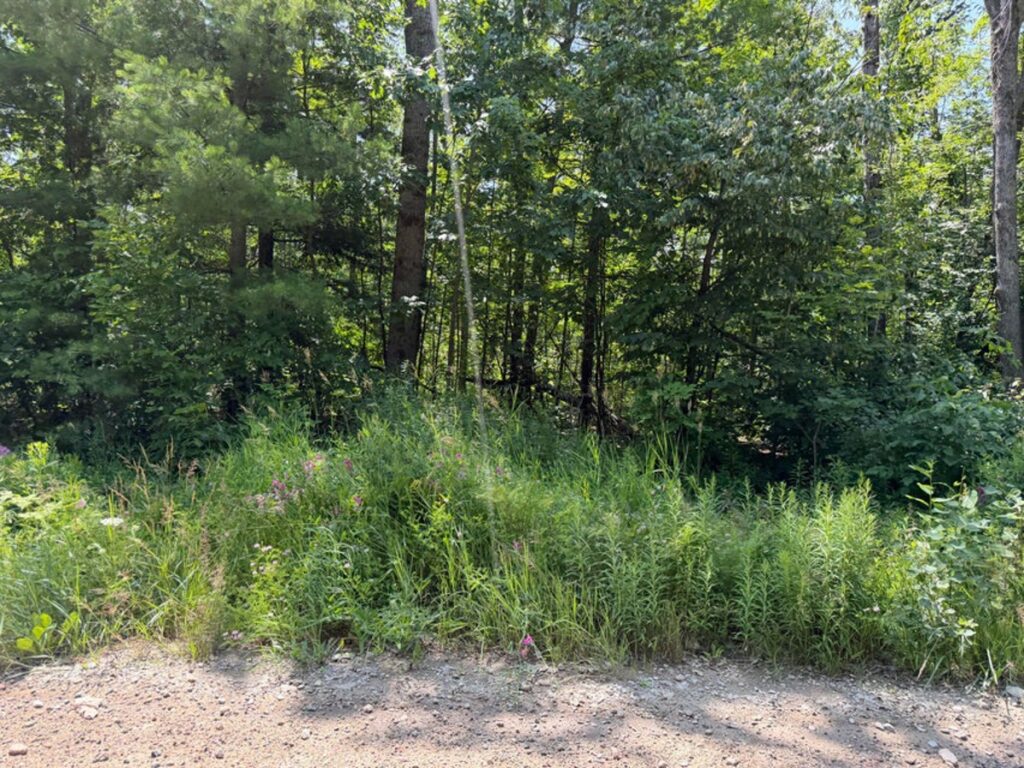 Property photo for land for sale in Montmorency County Michigan