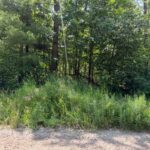 Property photo for land for sale in Montmorency County Michigan