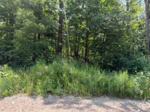 Property photo for land for sale in Montmorency County Michigan