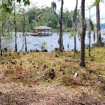 Property photo for land for sale in Perquimans County North Carolina