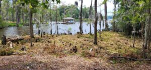 Property photo for land for sale in Perquimans County North Carolina