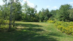 Property photo for land for sale in Waldo County Maine