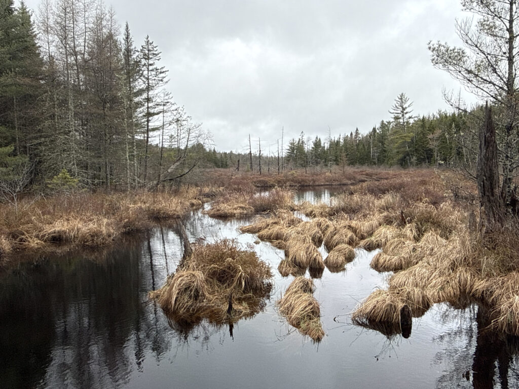 Property photo for land for sale in Washington County Maine