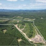 Property photo for land for sale in Louisa County Virginia