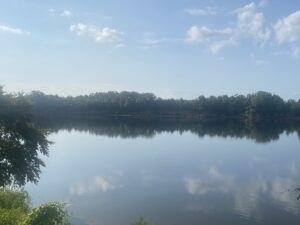 Property photo for land for sale in Hardin County Tennessee