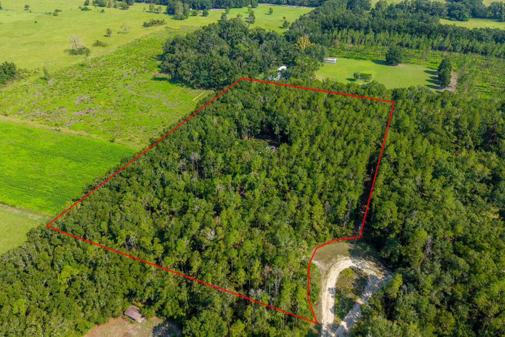 Property photo for land for sale in Gilchrist County Florida