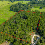 Property photo for land for sale in Gilchrist County Florida
