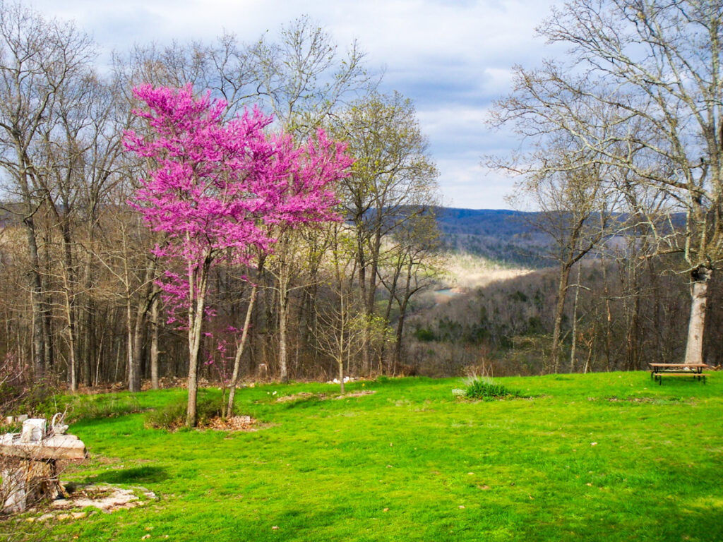 Property photo for land for sale in Shannon County Missouri
