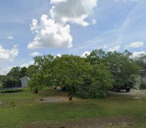 Property photo for land for sale in Bee County Texas