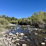 Property photo for land for sale in Rio Arriba County New Mexico