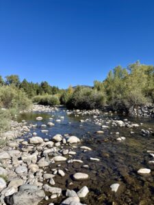Property photo for land for sale in Rio Arriba County New Mexico