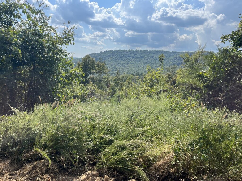 Property photo for land for sale in Searcy County Arkansas