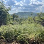 Property photo for land for sale in Searcy County Arkansas