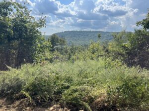 Property photo for land for sale in Searcy County Arkansas