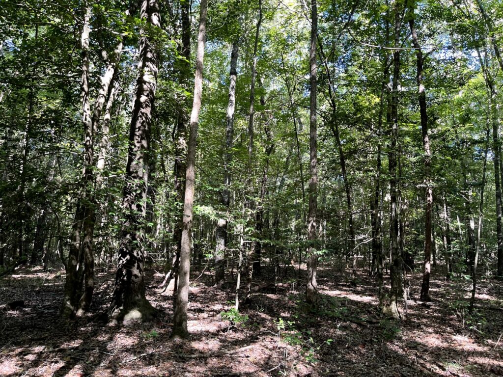 Property photo for land for sale in Columbia County Arkansas