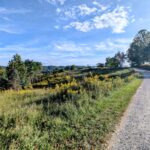 Property photo for land for sale in Montgomery County Virginia