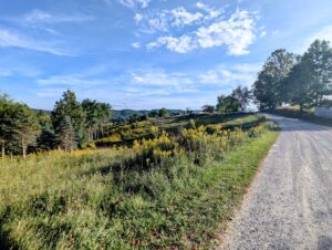 Property photo for land for sale in Montgomery County Virginia