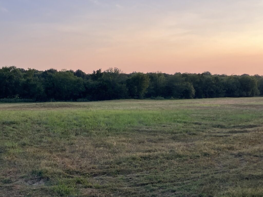 07e0536d-041c-4dc2-b2c5-bb551b7fe34c.jpg