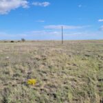 Property photo for land for sale in Torrance County New Mexico