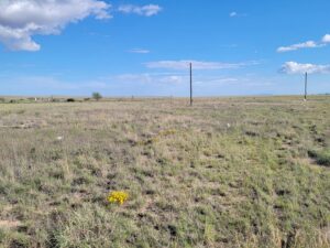 Property photo for land for sale in Torrance County New Mexico