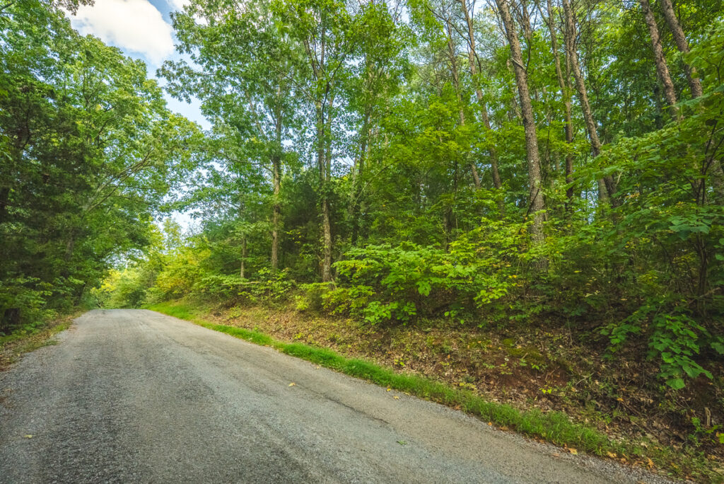 0905d21f-2a1d-4ceb-8754-861f3d98c2f8.jpg