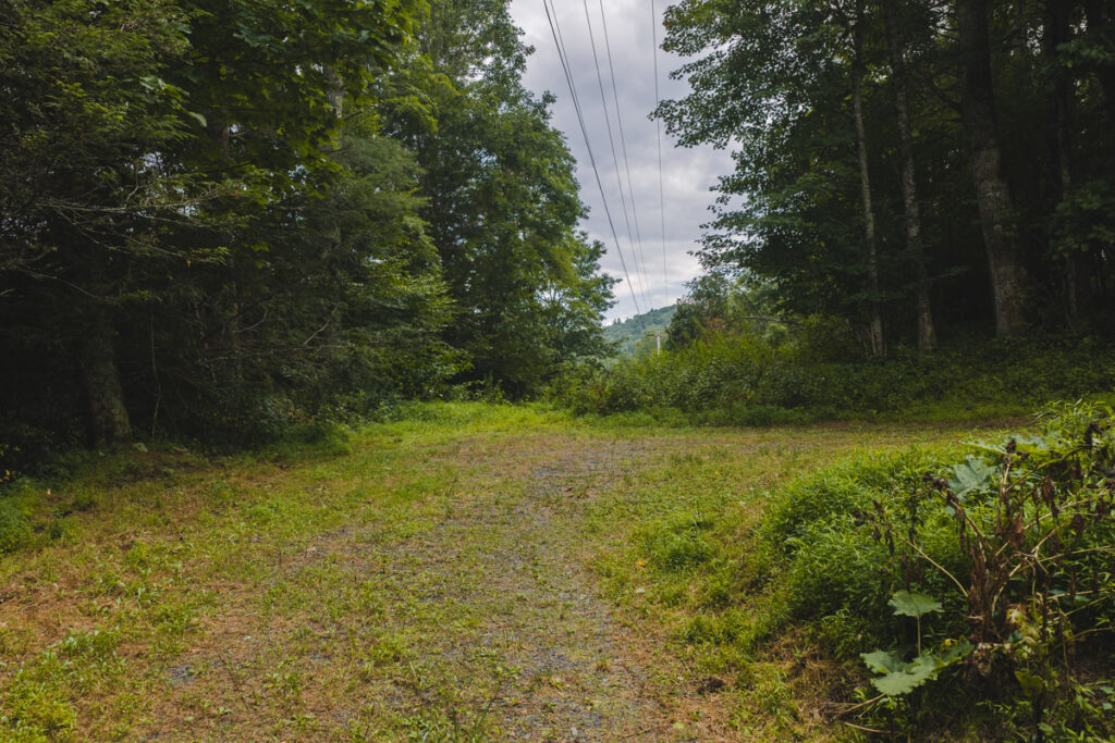 0a2aa58d-102a-467d-9d9c-41df73968741.jpg