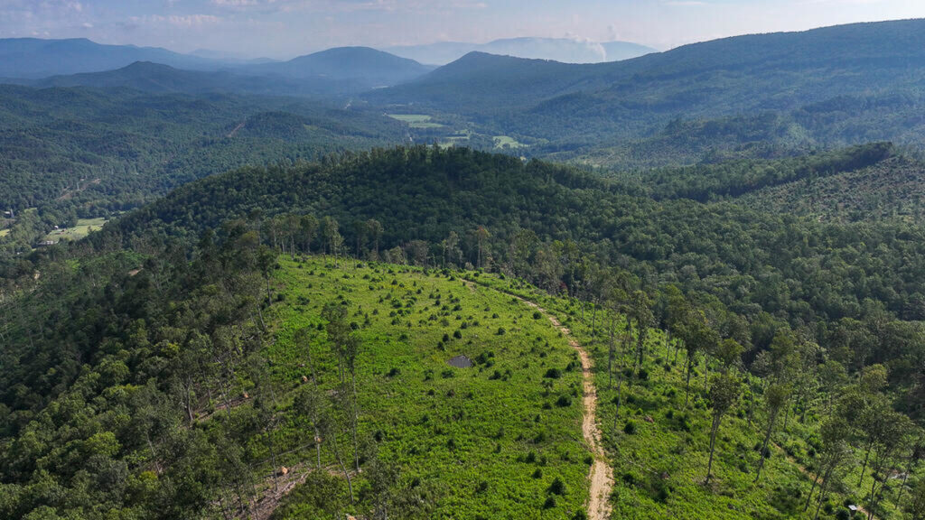 Property photo for land for sale in Alleghany County Virginia