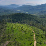 Property photo for land for sale in Alleghany County Virginia