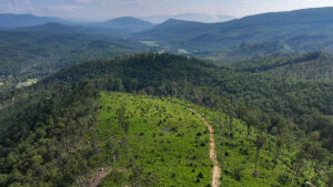 Property photo for land for sale in Alleghany County Virginia