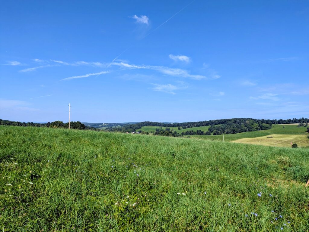 Property photo for land for sale in Floyd County Virginia