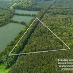 Property photo for land for sale in Charlotte County Virginia