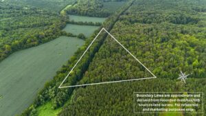 Property photo for land for sale in Charlotte County Virginia
