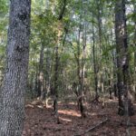 Property photo for land for sale in Columbia County Arkansas