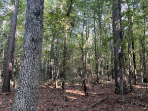 Property photo for land for sale in Columbia County Arkansas